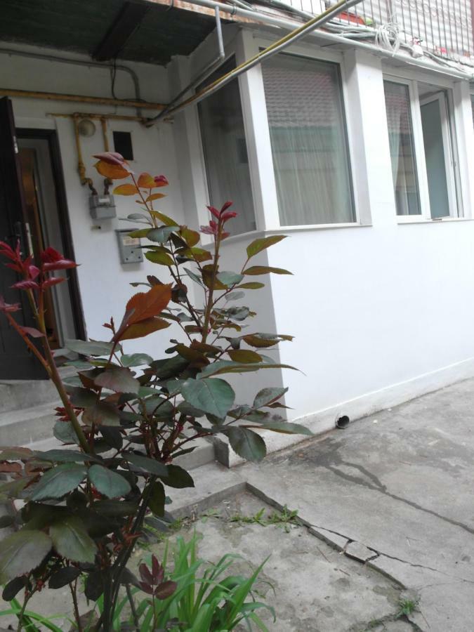 Studio Moliere Apartment Brasov Luaran gambar